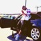 Don Hoffa
