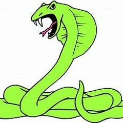 SNAYKE