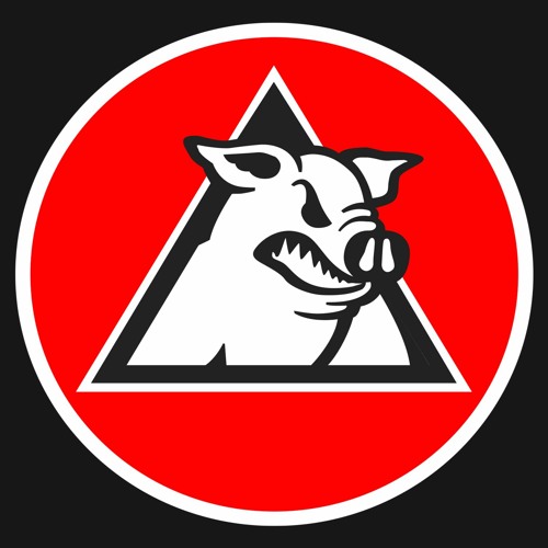 BAY OF PIGS’s avatar