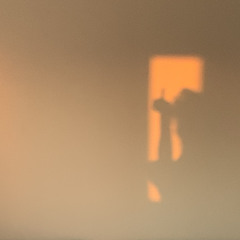 dropdeadGordgeous💀