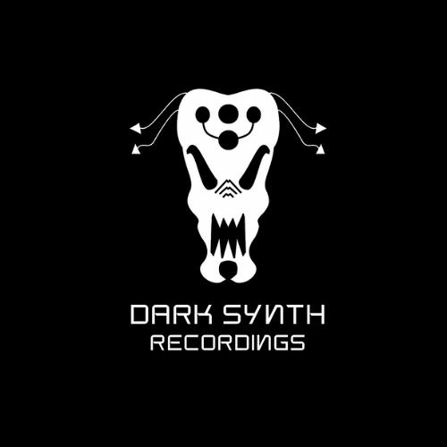 Dark Synth Recordings’s avatar