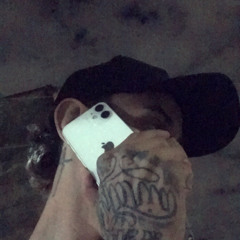 Marcus Vinicius Holtz