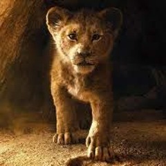 Abdelrahman Abowafia