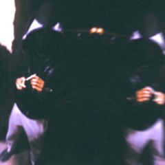 ReviveThedead