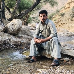 Syedullah Mandokhail