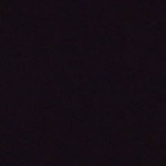 F Y