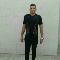 raminfizi.