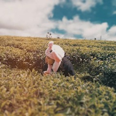 Untitled Playlist