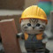 builder cat