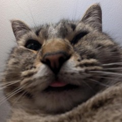 Watsmyu