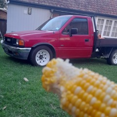 elitevegetarianwarrior420