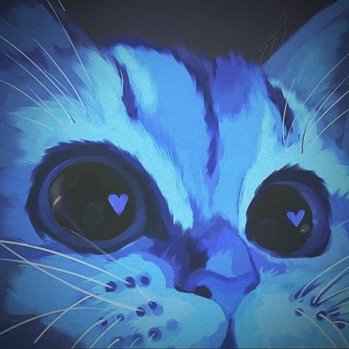 .blu.cat’s avatar