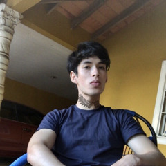 Martin Maidana