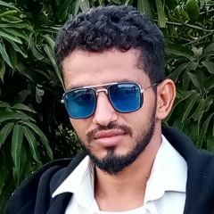 محمد الهيج الاهدل