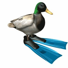 FunneDuck