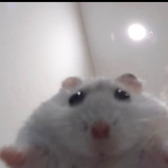 lilwyy