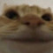 PizThoven The Third