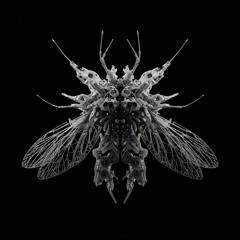 Hiromichi Fujiwara / Hylonis