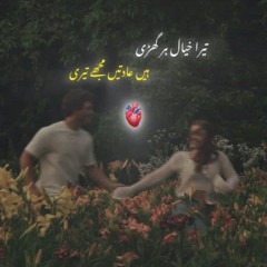 Umair ali