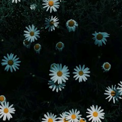 Nguyễn Huy (Hoàng)