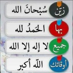 محمود شلبى