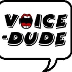 Voicedude Express