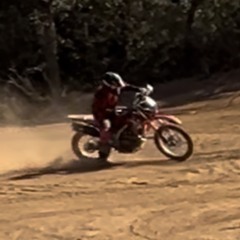 MLTV41