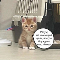 Ineri