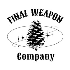 Final Weapon Company