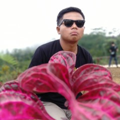TonyDeff