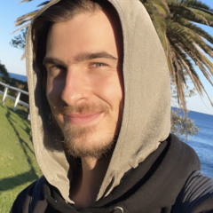 wolfvision
