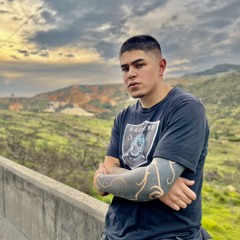 Andres Pabuena