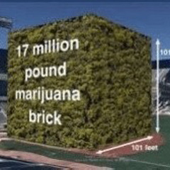 17 million pound marijuana brick