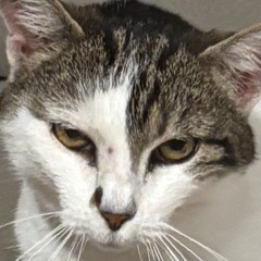 Axl🏴‍☠️🌀