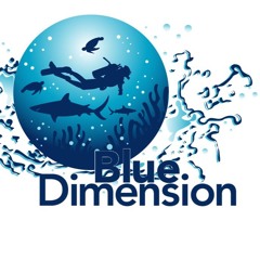 BlueDimension