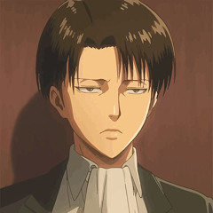 leviaudios