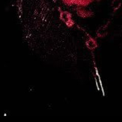 seemesoon
