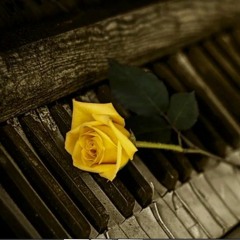 R̾o̾b̾e̾r̾t̾ ̾W̾h̾i̾t̾e̾i