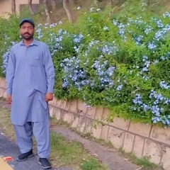 raza khan