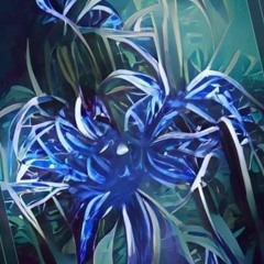 bludragon