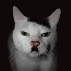 adolf kitler