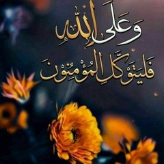 User 540946019