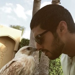 صاح بزقر لمنادي 🚢⚓️