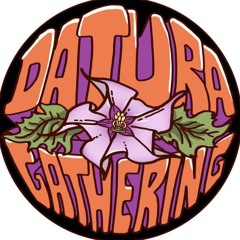 Datura Gathering