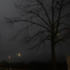 braydvn