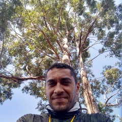 iury bolseiro do condado