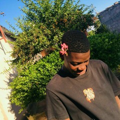 SimPson Flor