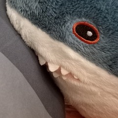 ∠( ᐛ 」∠)＿