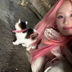 나비