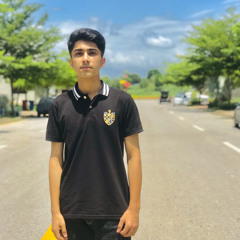 waseem mengal